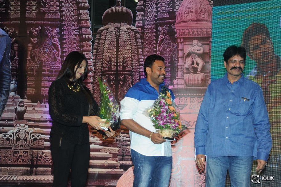 Mosagallaku-Mosagadu-Movie-Audio-Launch